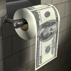 $100 Toilet Paper