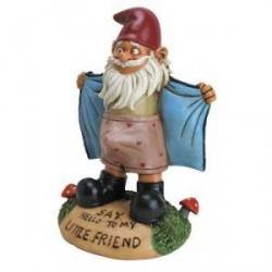 Perverted Garden Gnome
